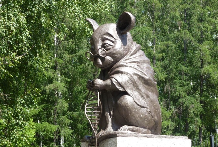 马斯克公司回应残忍虐猴，动物实验有完没完？